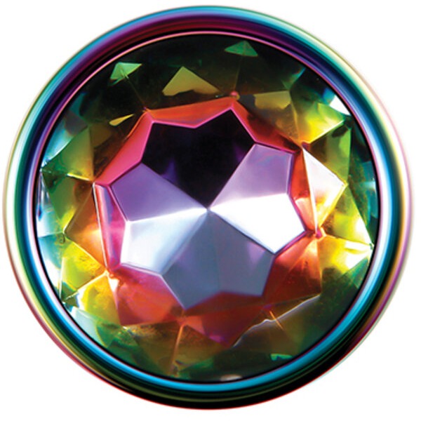 Evolved Rainbow Metal Plug - Large